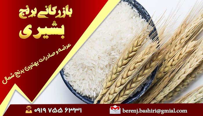 برنج شمال درجه یک صادراتی