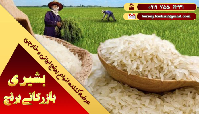 فروش عمده برنج شمال