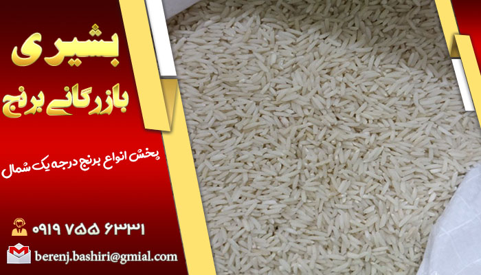 برنج شمال شاهین شهر | قیمت روز انواع برنج